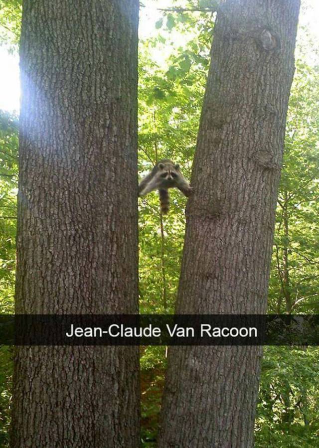 Daily Picdump