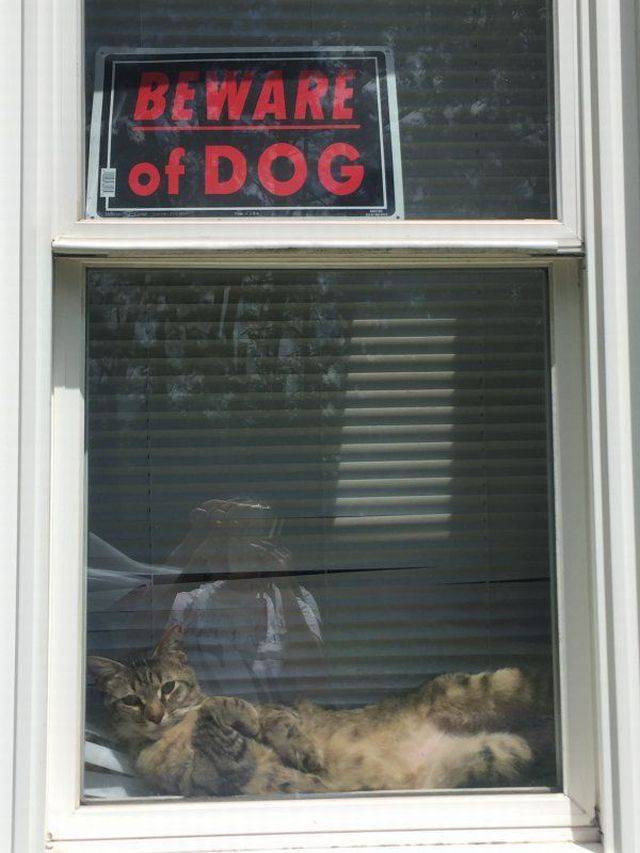 daily picdump 97 pics 11.html - 97 HD Photos | Premium Gallery 2017