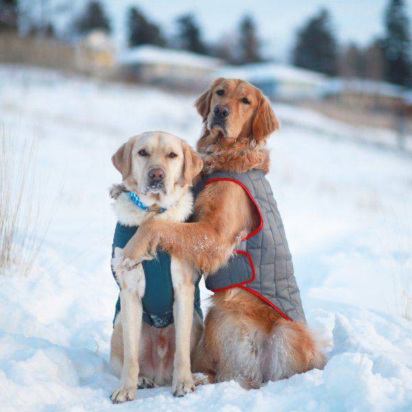 daily picdump 102 pics 11.html - 102 HD Photos | Premium Gallery 2017