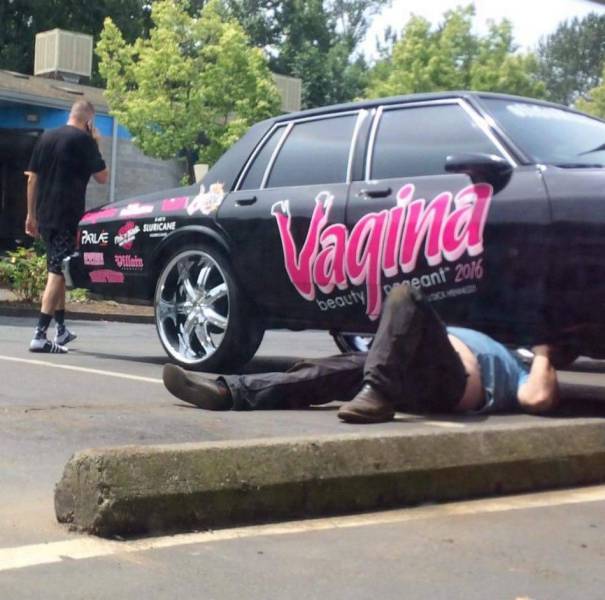 daily picdump 102 pics 11.html - 102 HD Photos | Premium Gallery 2017