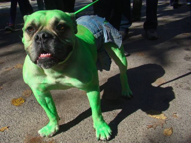 Morning Picdump