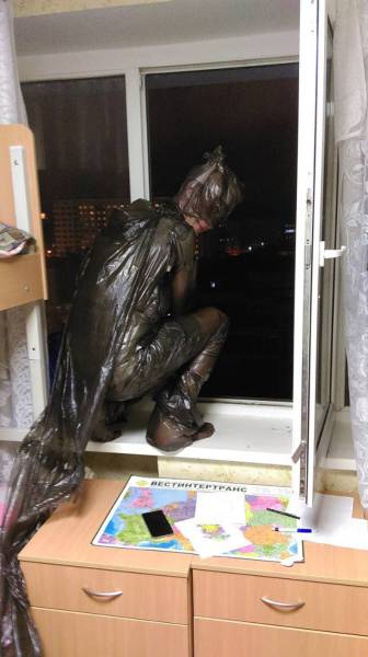 Morning Picdump