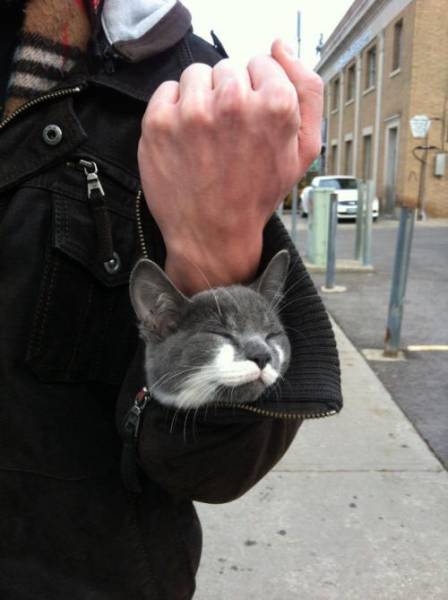 Morning Picdump