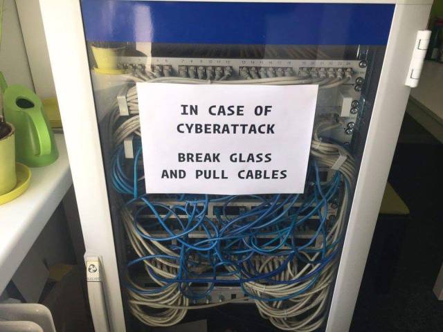Morning Picdump