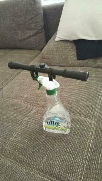 Morning Picdump
