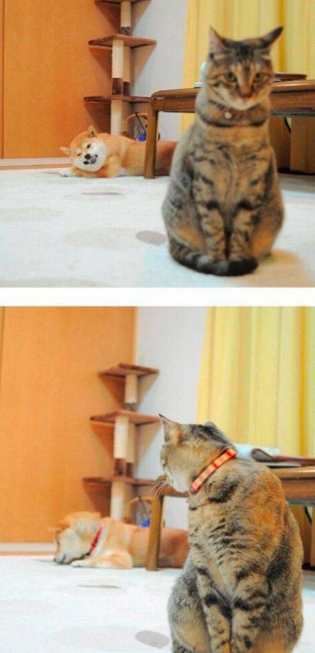 daily picdump 102 pics 45.html - 102 HD Photos | Premium Gallery 2017