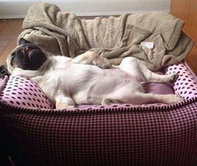 Morning Picdump
