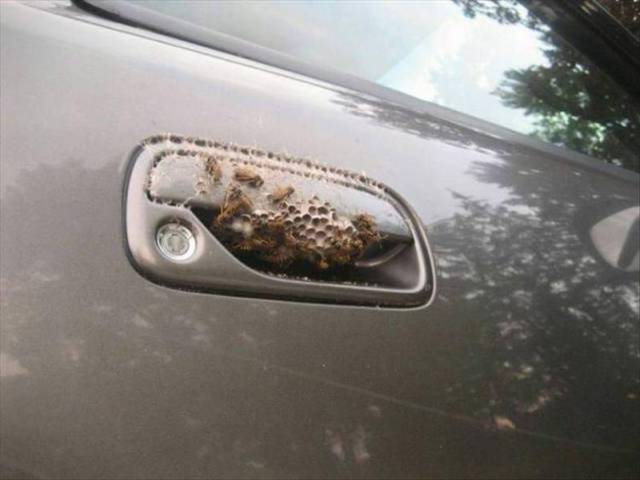 Morning Picdump