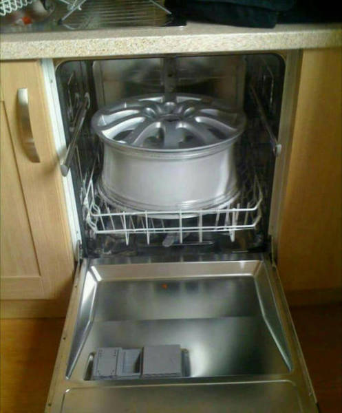 Morning Picdump