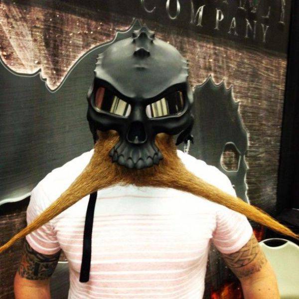 Morning Picdump