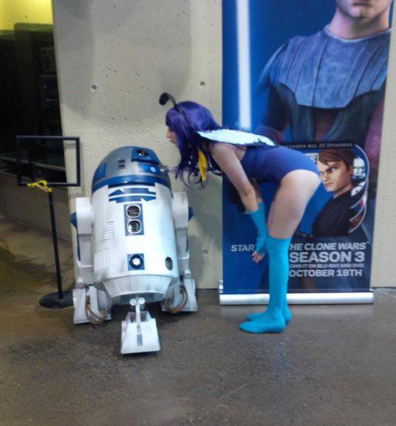Morning Picdump