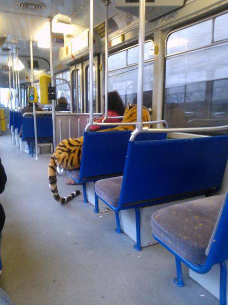 morning picdump 51 pics 3.html - 51 HD Photos | Premium Gallery 2017