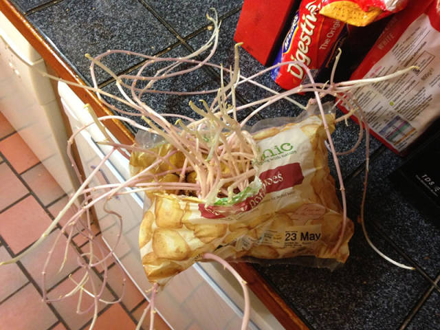 morning picdump 51 pics 3.html - 51 HD Photos | Premium Gallery 2017