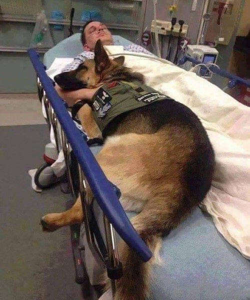 morning picdump 50 pics 3.html - 50 HD Photos | Premium Gallery 2017