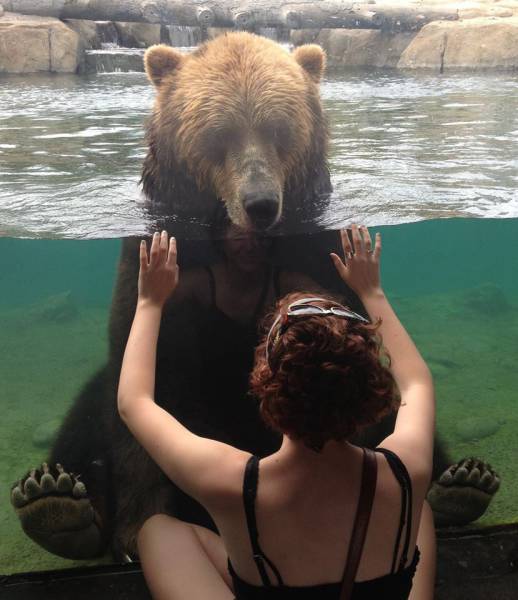 morning picdump 50 pics 3.html - 50 HD Photos | Premium Gallery 2017