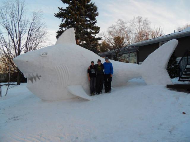 morning picdump 50 pics 3.html - 50 HD Photos | Premium Gallery 2017
