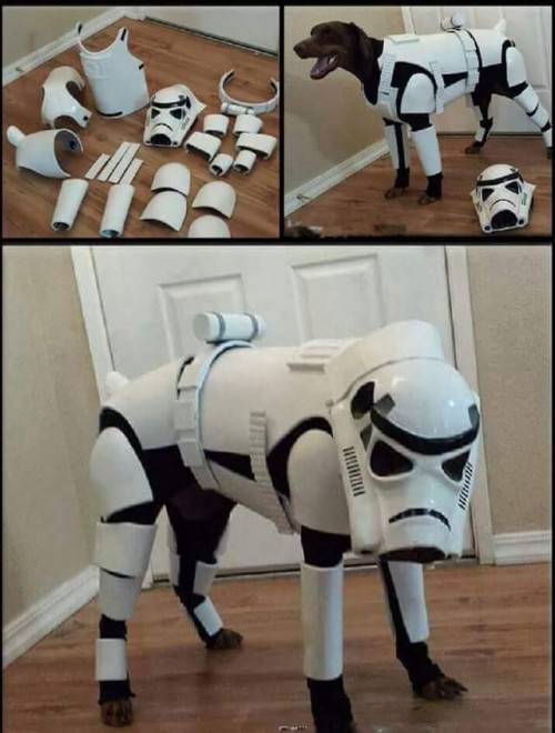 morning picdump 50 pics 3.html - 50 HD Photos | Premium Gallery 2017