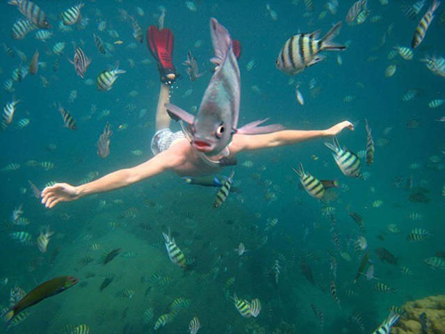 daily picdump weekend edition 51 pics 21.html - 51 HD Photos | Premium Gallery 2017