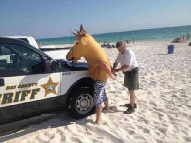 Daily Picdump