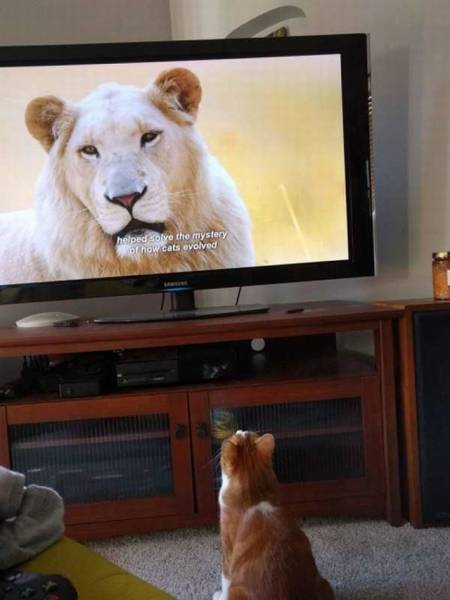 Daily Picdump