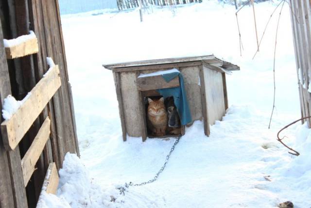 Daily Picdump