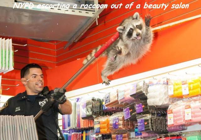 daily picdump 93 pics 13.html - 93 HD Photos | Premium Gallery 2017