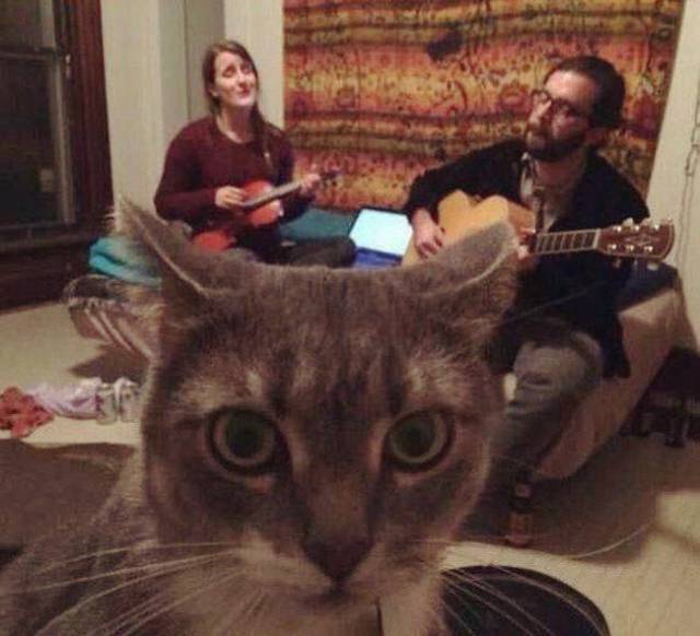 daily picdump 93 pics 13.html - 93 HD Photos | Premium Gallery 2017