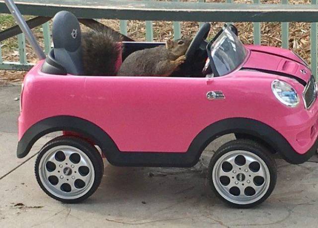 daily picdump 93 pics 13.html - 93 HD Photos | Premium Gallery 2017