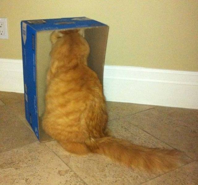 daily picdump 93 pics 13.html - 93 HD Photos | Premium Gallery 2017
