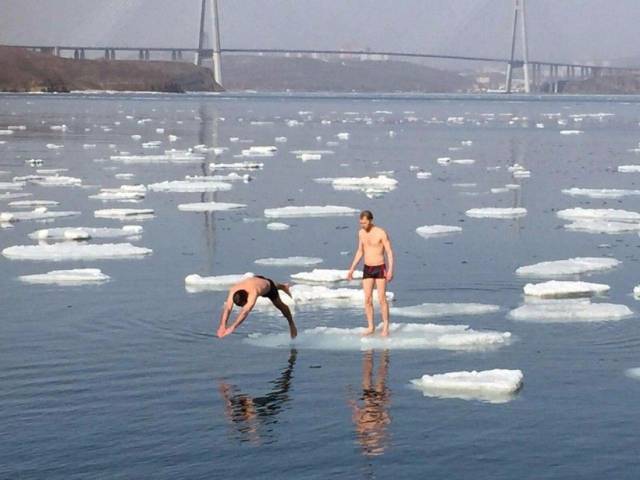 daily picdump 93 pics 13.html - 93 HD Photos | Premium Gallery 2017