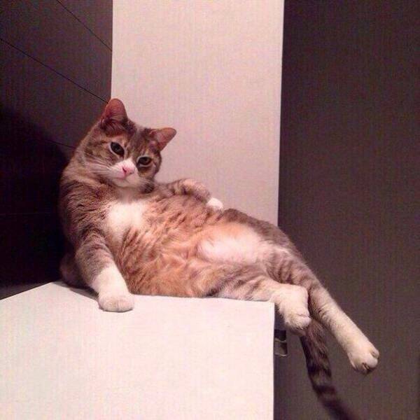daily picdump 93 pics 13.html - 93 HD Photos | Premium Gallery 2017