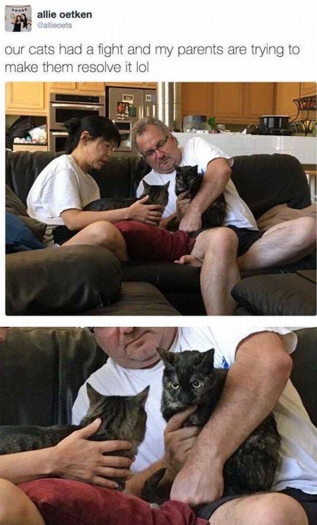 daily picdump 93 pics 13.html - 93 HD Photos | Premium Gallery 2017