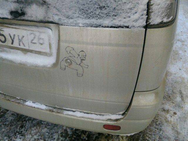 Daily Picdump
