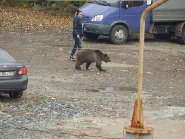 Daily Picdump