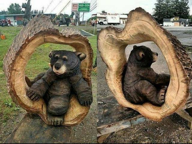 Daily Picdump