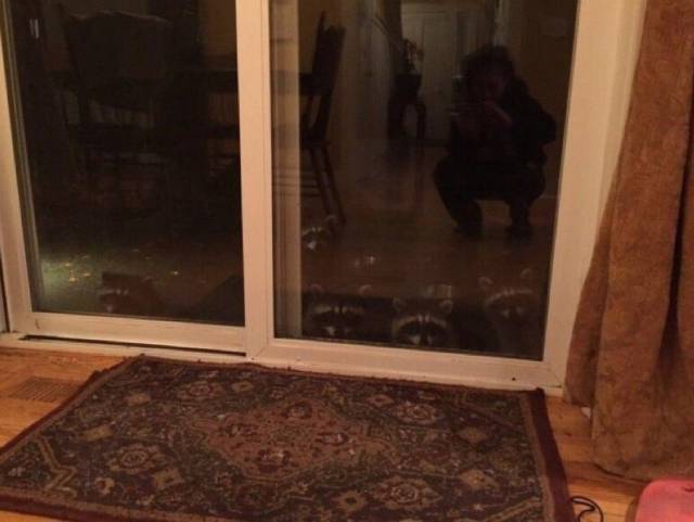 daily picdump 98 pics 29.html - 98 HD Photos | Premium Gallery 2017