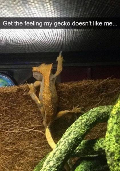 daily picdump 102 pics 30.html - 102 HD Photos | Premium Gallery 2017