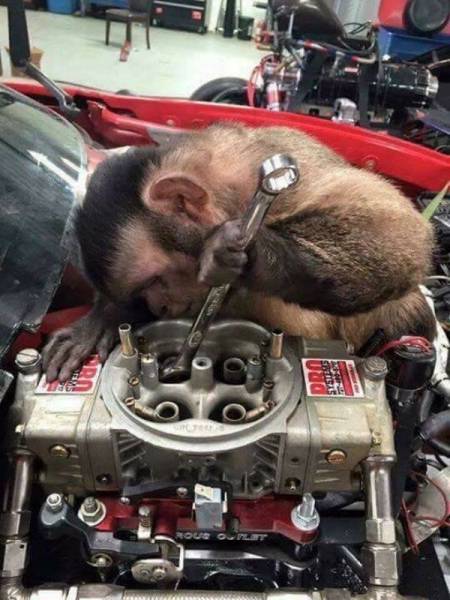 daily picdump 102 pics 30.html - 102 HD Photos | Premium Gallery 2017