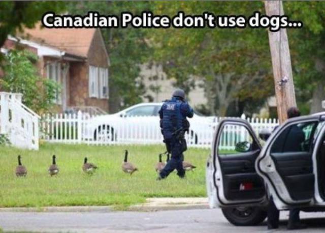 daily picdump 102 pics 30.html - 102 HD Photos | Premium Gallery 2017