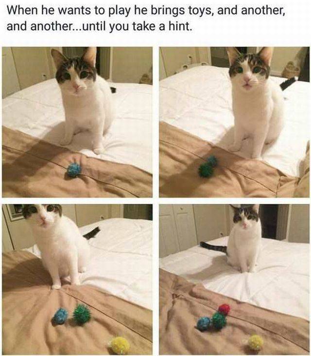 daily picdump 102 pics 30.html - 102 HD Photos | Premium Gallery 2017