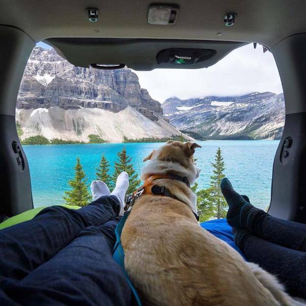 morning picdump 52 pics 23.html - 52 HD Photos | Premium Gallery 2017