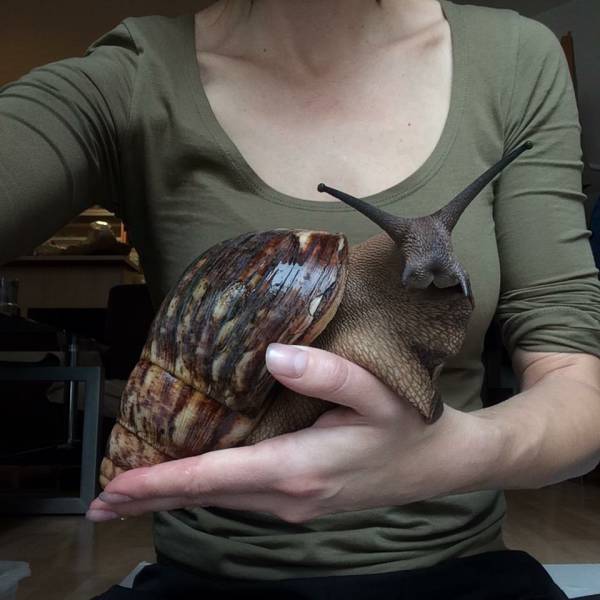morning picdump 52 pics 23.html - 52 HD Photos | Premium Gallery 2017