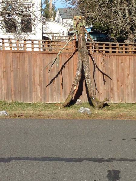 morning picdump 52 pics 23.html - 52 HD Photos | Premium Gallery 2017
