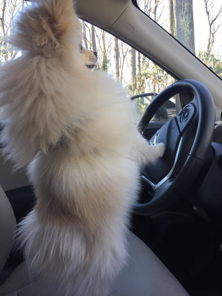 morning picdump 55 pics 9.html - 55 HD Photos | Premium Gallery 2017