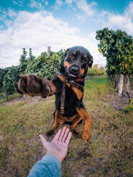 morning picdump 55 pics 9.html - 55 HD Photos | Premium Gallery 2017