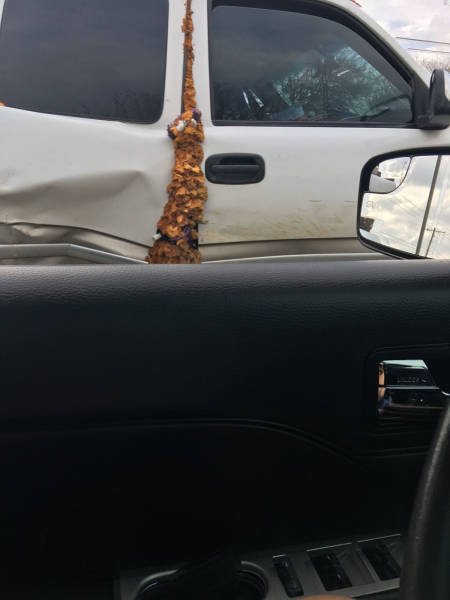 morning picdump 55 pics 9.html - 55 HD Photos | Premium Gallery 2017