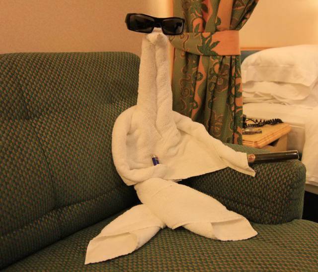 Daily Picdump