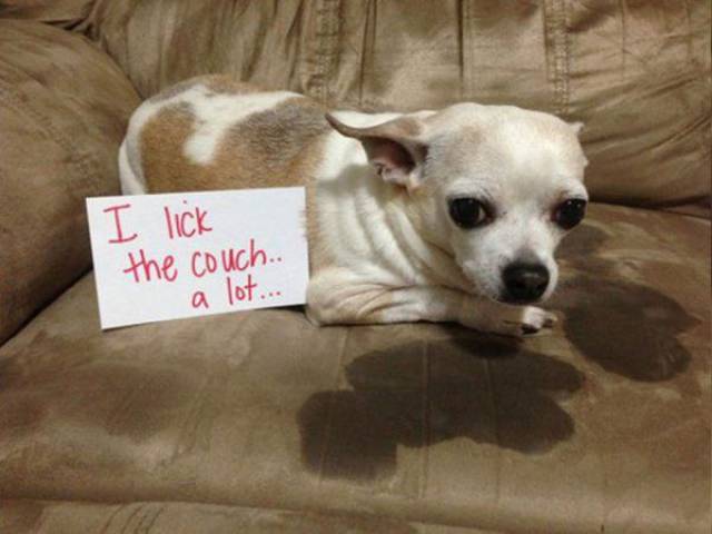 Daily Picdump