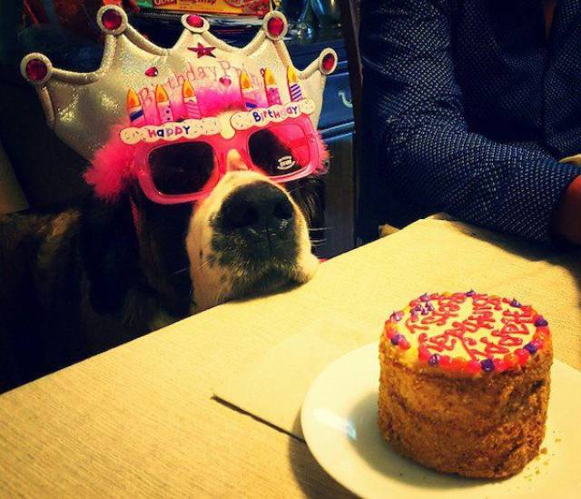 Daily Picdump