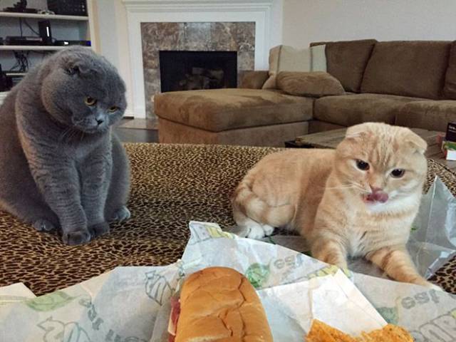 Daily Picdump